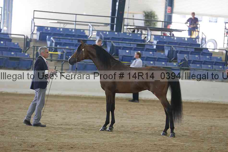 Proof 14r14_0394