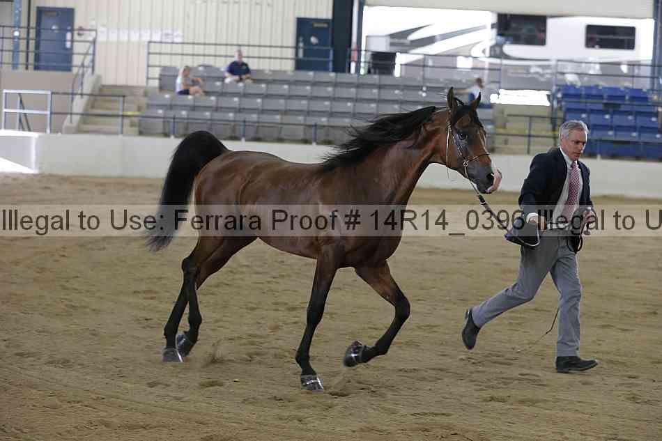 Proof 14r14_0396