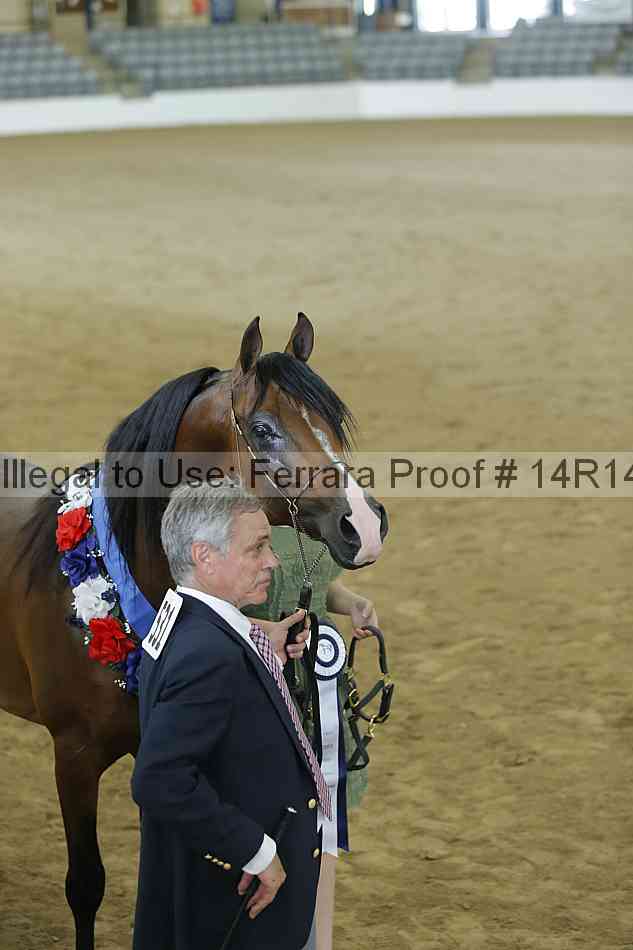 Proof 14r14_0399