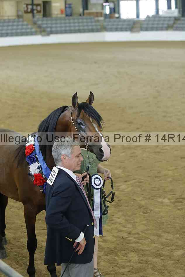 Proof 14r14_0400