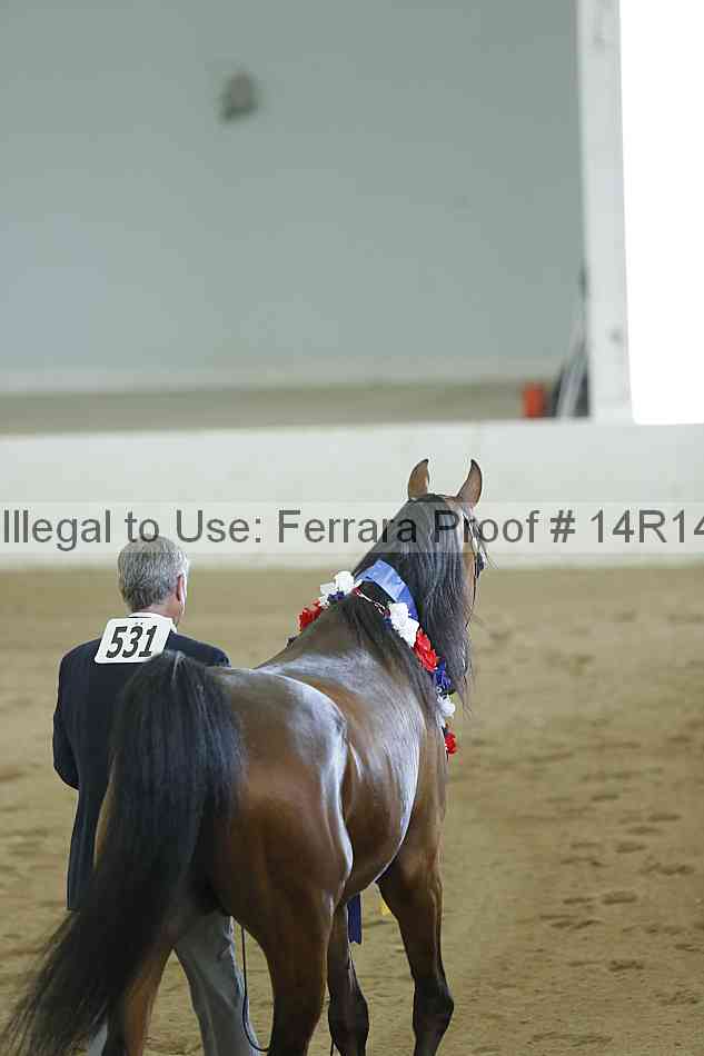 Proof 14r14_0403