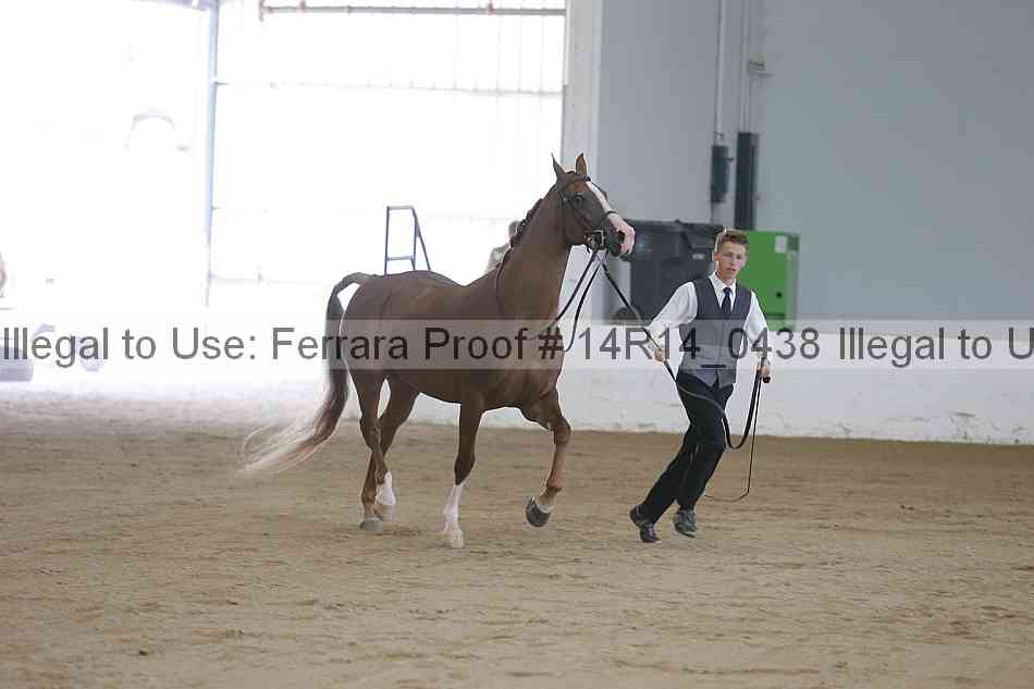 Proof 14r14_0438