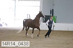 14r14_0438 proof