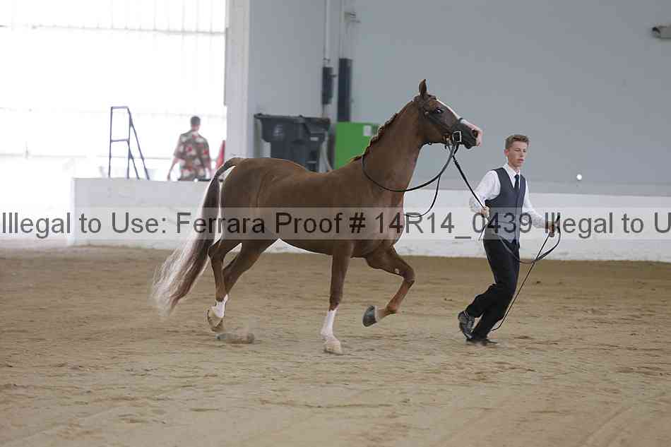 Proof 14r14_0439