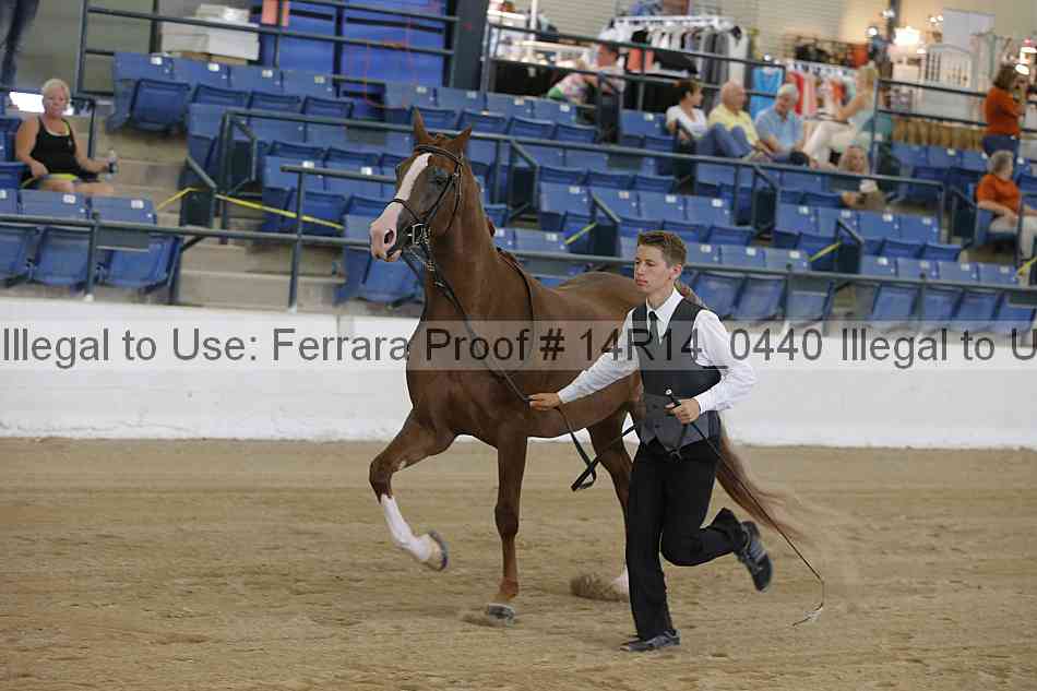 Proof 14r14_0440
