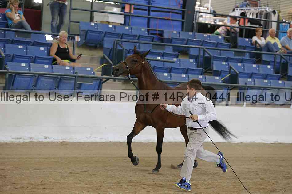 Proof 14r14_0441