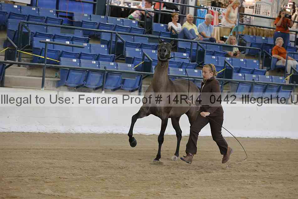 Proof 14r14_0442