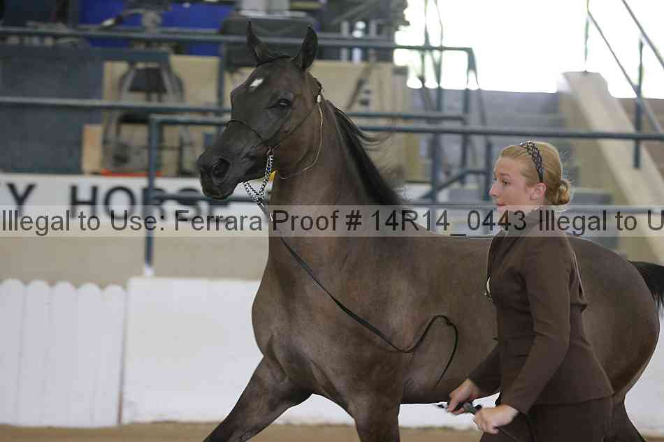 Proof 14r14_0443