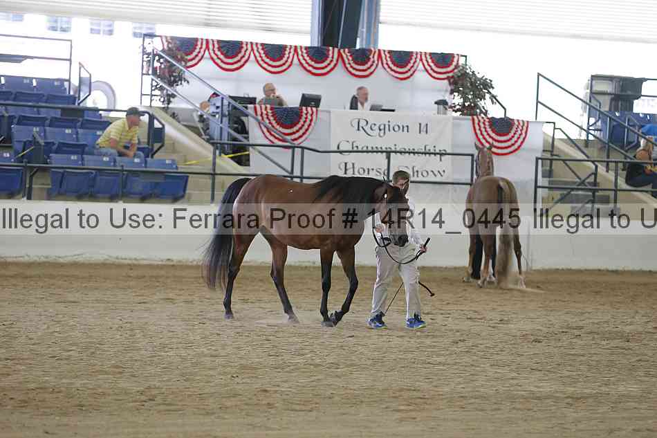Proof 14r14_0445