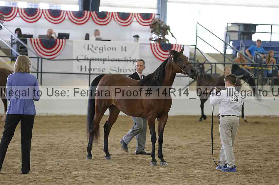 Proof 14r14_0446