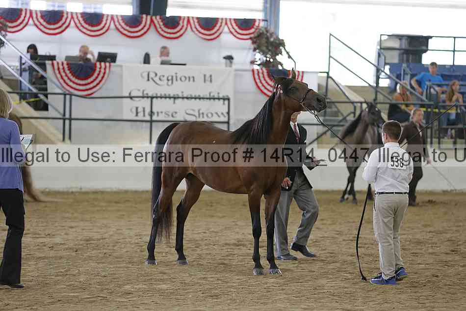 Proof 14r14_0447