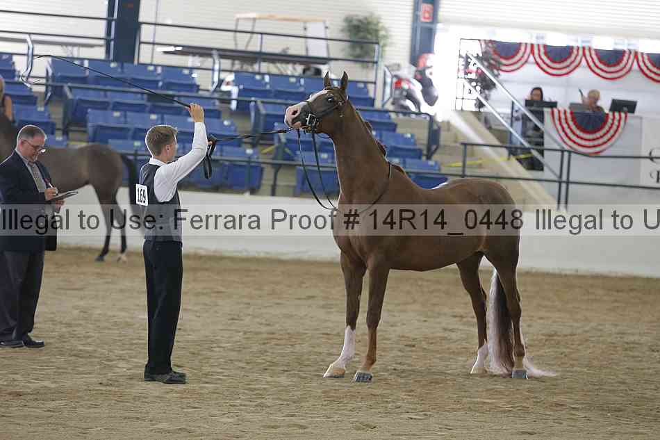 Proof 14r14_0448
