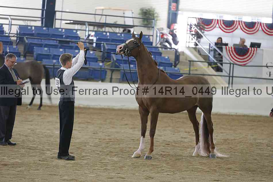 Proof 14r14_0449