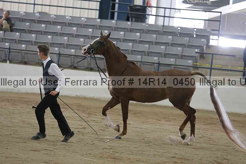 Proof 14r14_0450