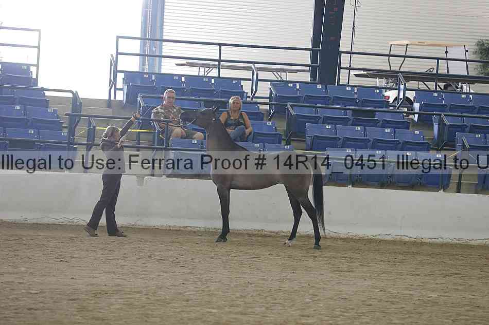 Proof 14r14_0451