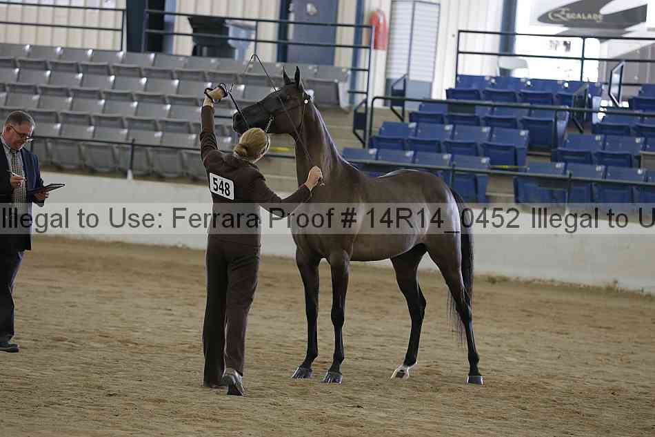 Proof 14r14_0452