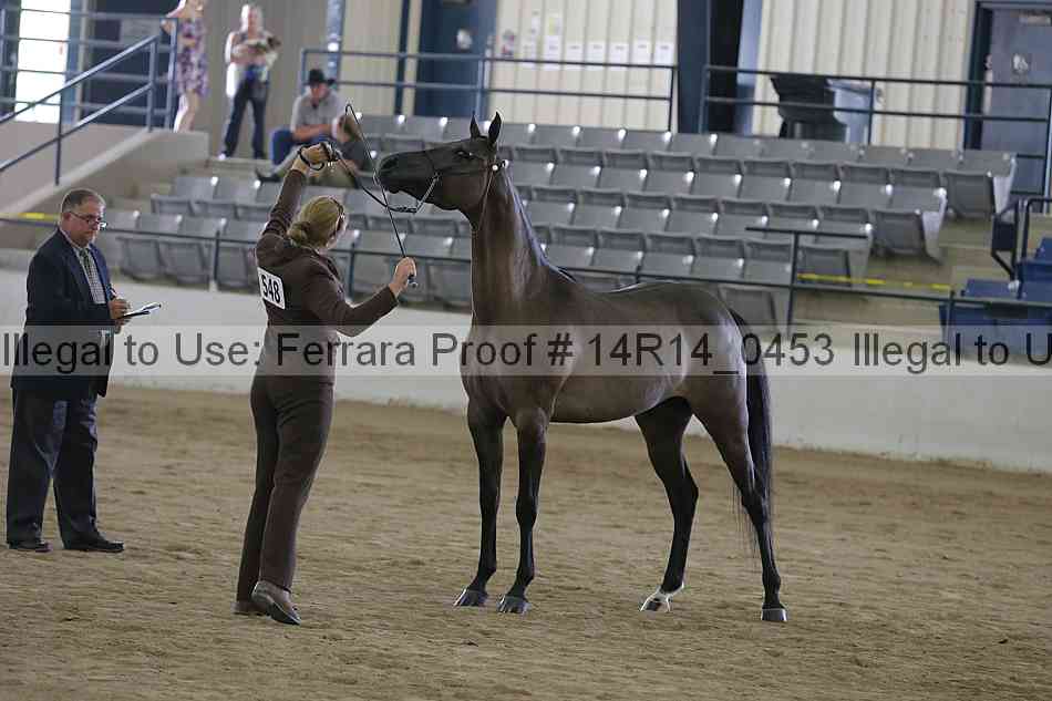 Proof 14r14_0453
