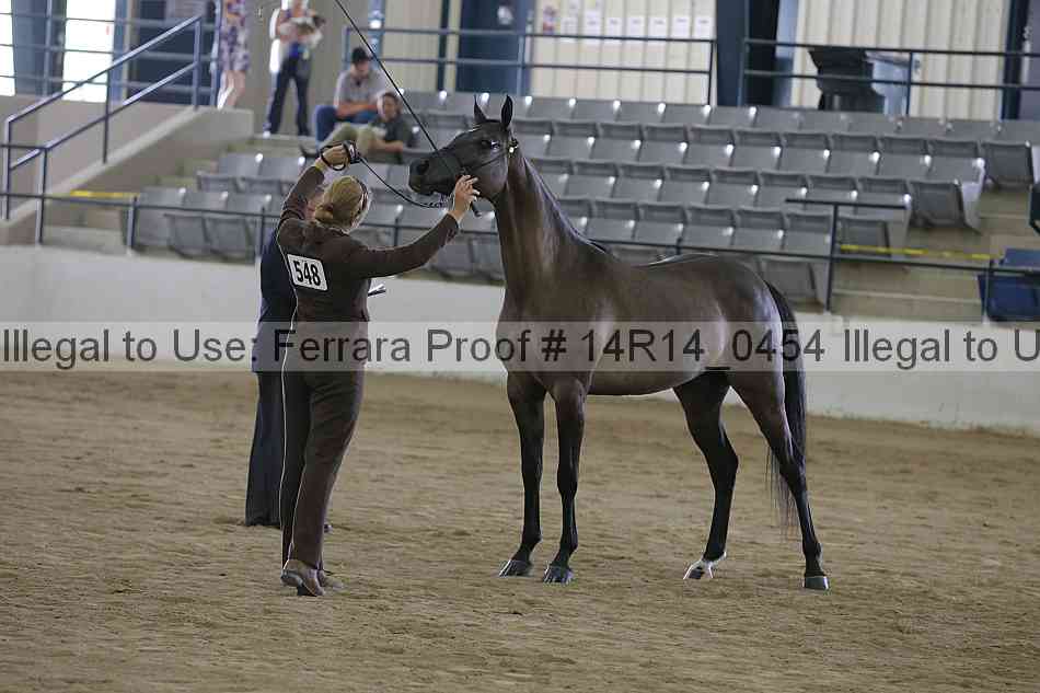 Proof 14r14_0454