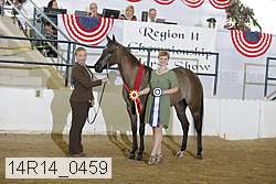 14r14_0459 proof