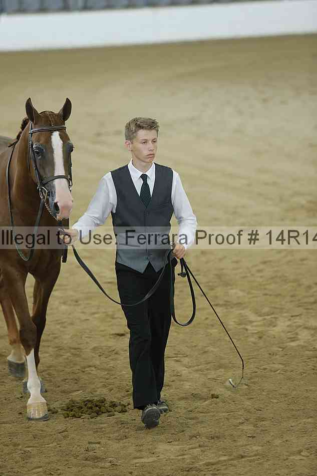 Proof 14r14_0461