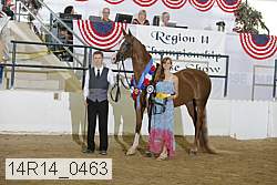 14r14_0463 proof