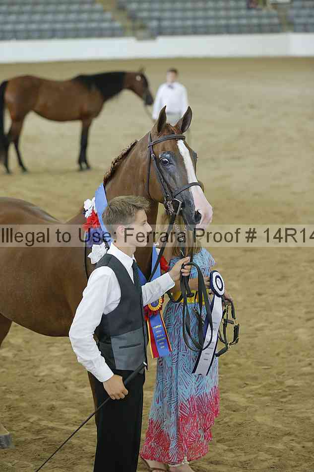 Proof 14r14_0464