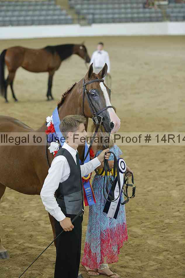 Proof 14r14_0465