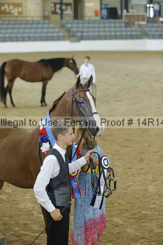 Proof 14r14_0466