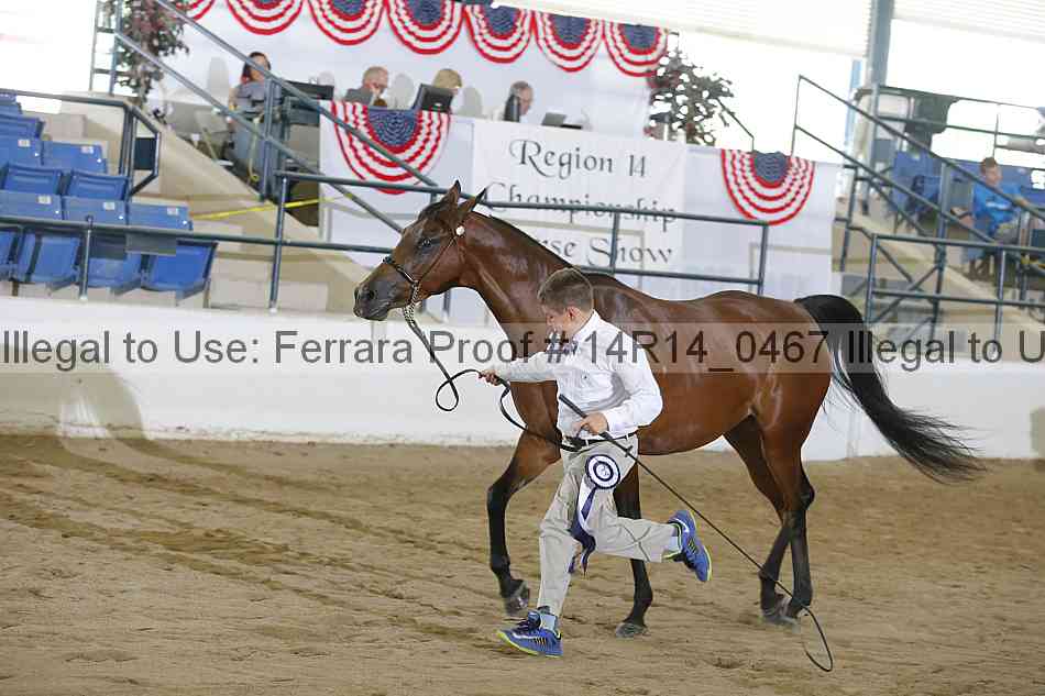 Proof 14r14_0467