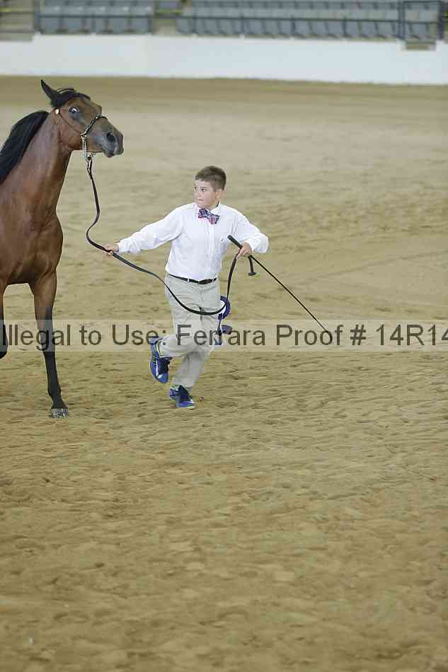 Proof 14r14_0468