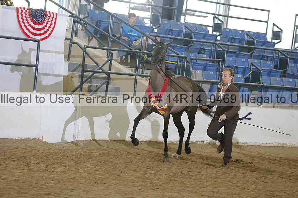 Proof 14r14_0469