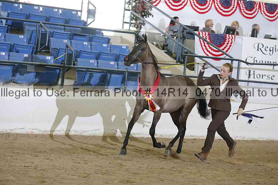 Proof 14r14_0470