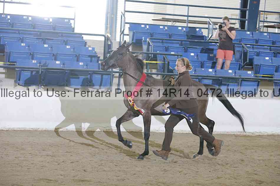 Proof 14r14_0472
