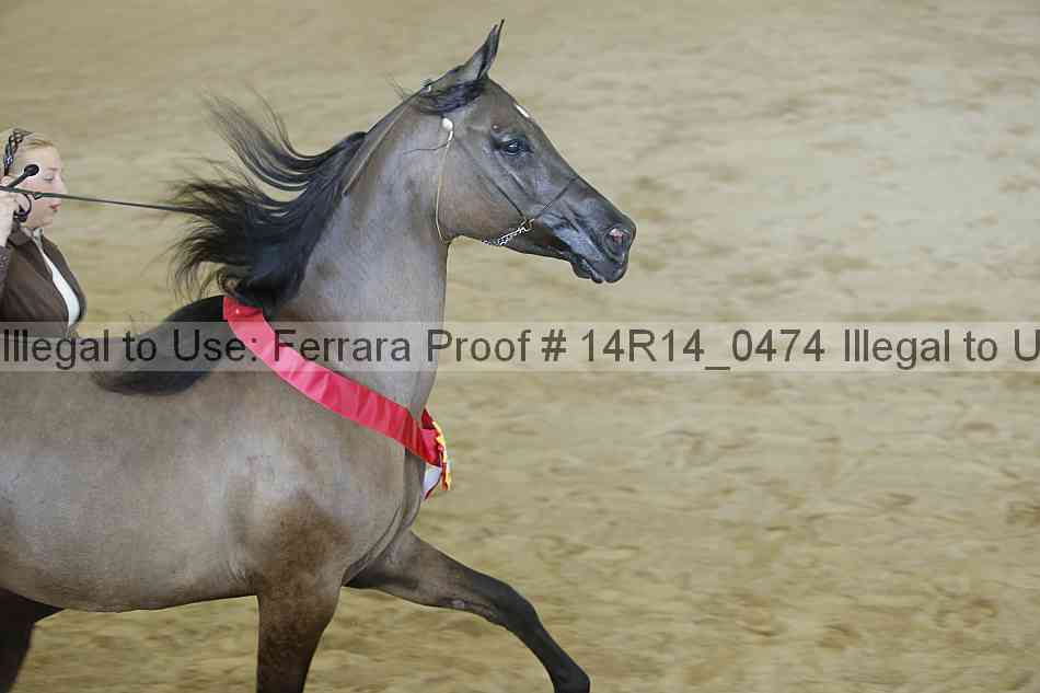 Proof 14r14_0474