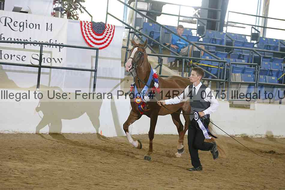 Proof 14r14_0475