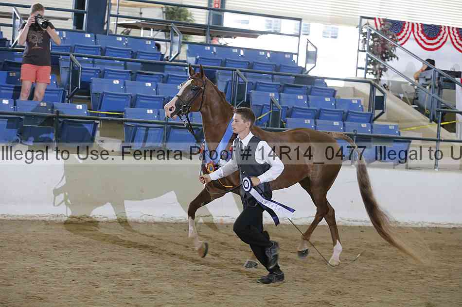 Proof 14r14_0477