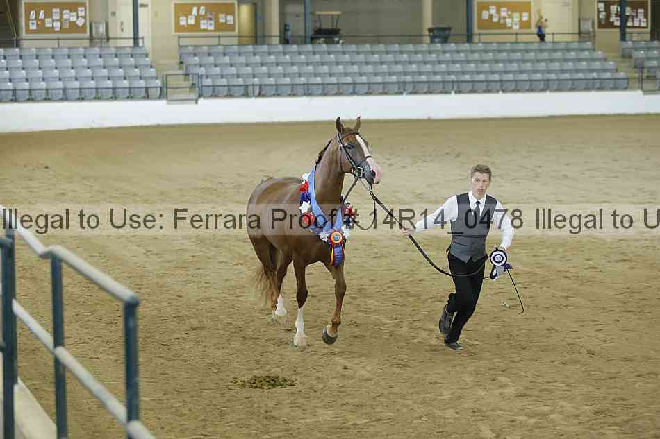 Proof 14r14_0478
