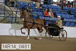 14r14_0481 proof