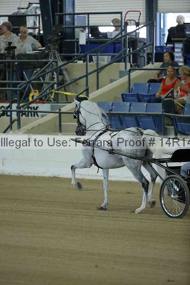Proof 14r14_0484