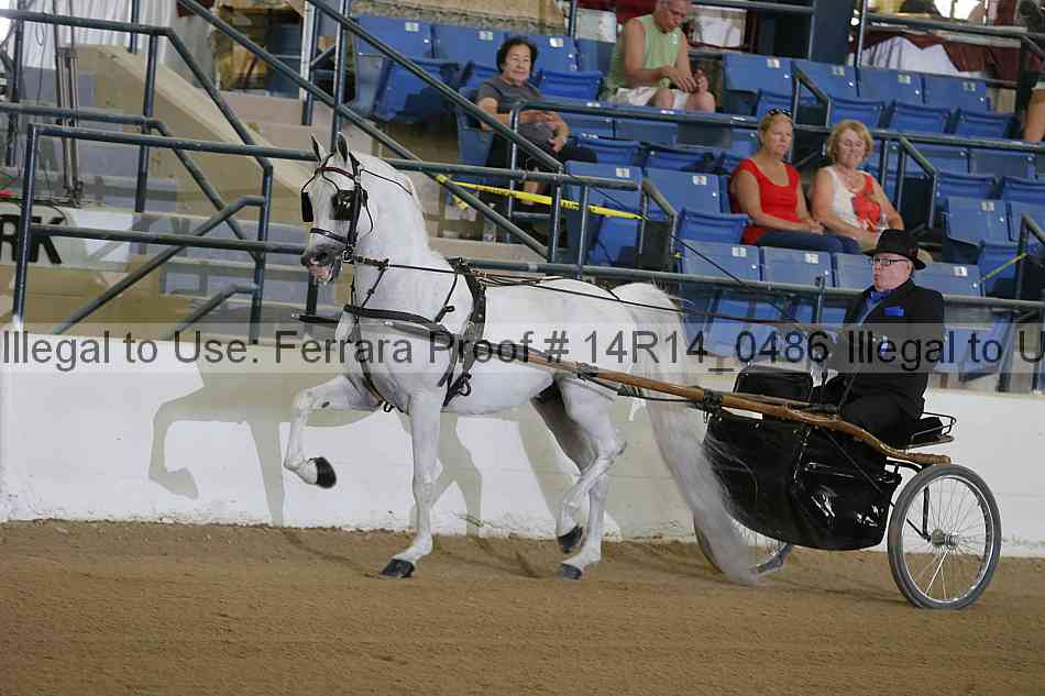 Proof 14r14_0486