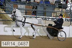 14r14_0487 proof