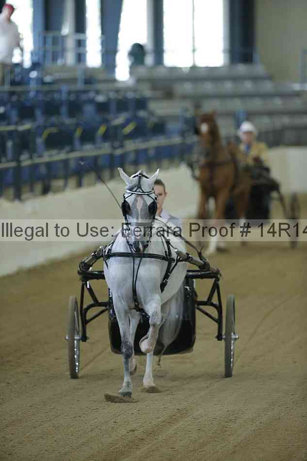 Proof 14r14_0488