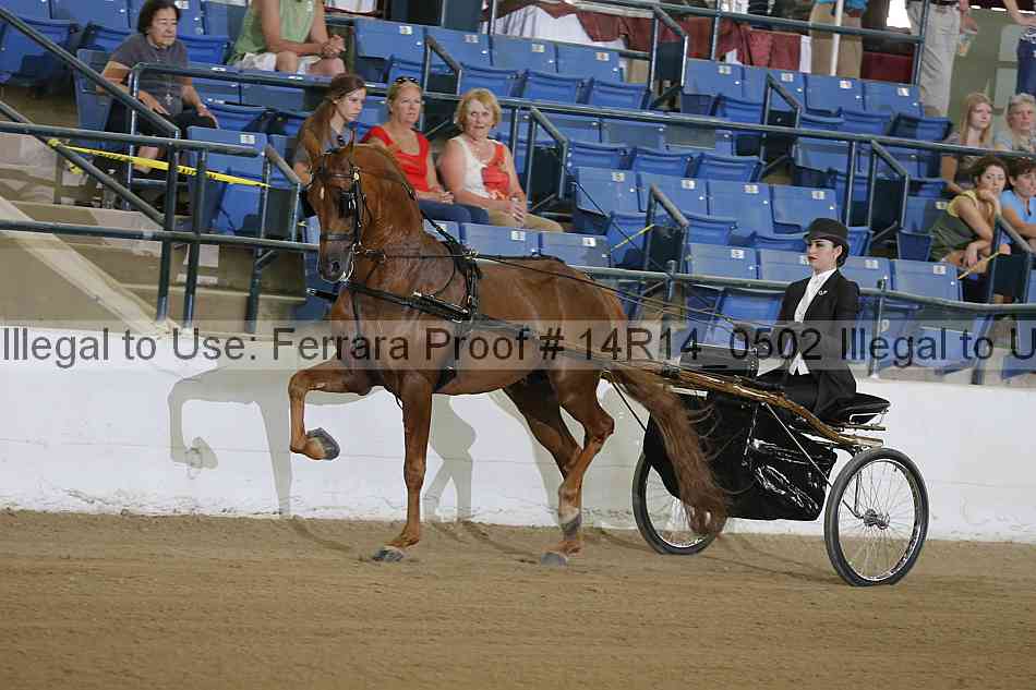 Proof 14r14_0502