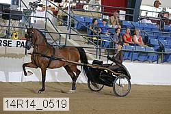 14r14_0519 proof