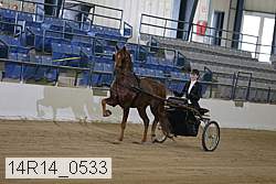 14r14_0533 proof