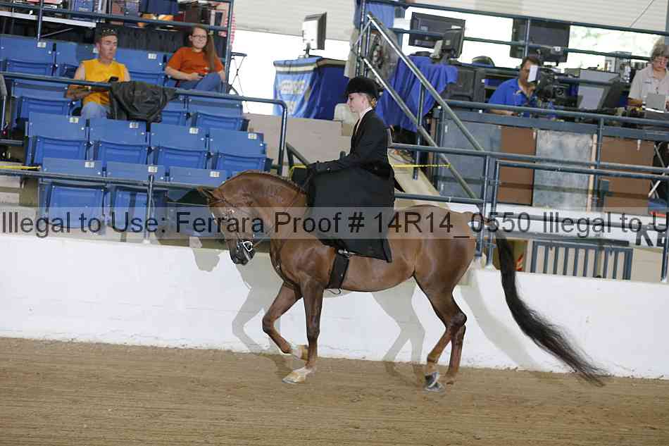 Proof 14r14_0550
