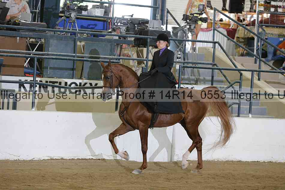 Proof 14r14_0553