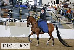 14r14_0554 proof