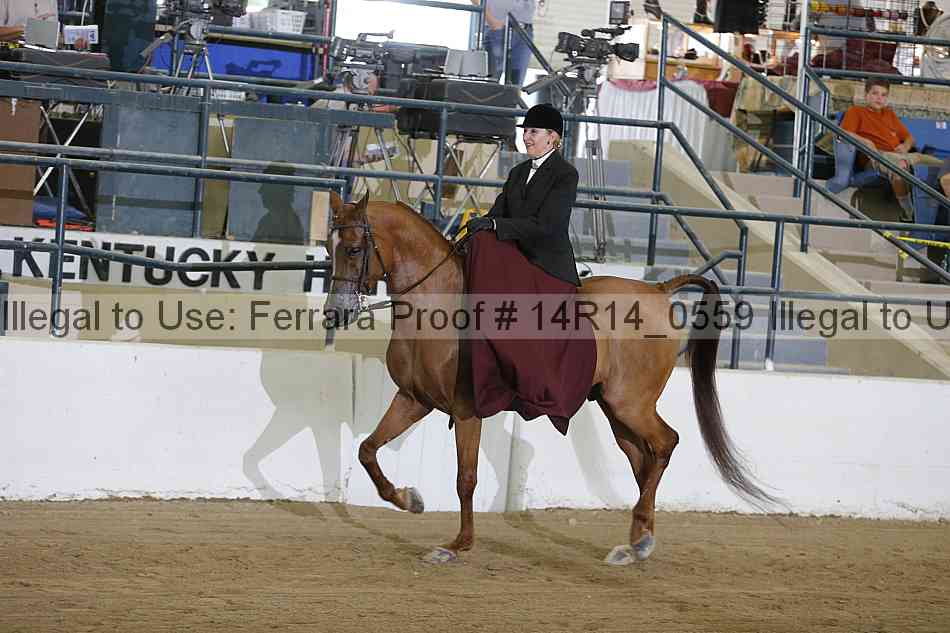 Proof 14r14_0559