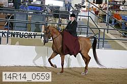 14r14_0559 proof